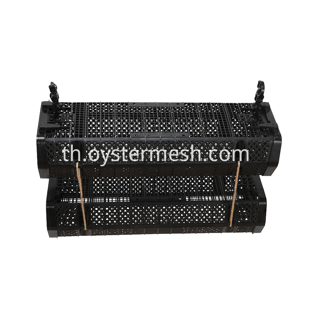 Oyster Stacking Culture (3)